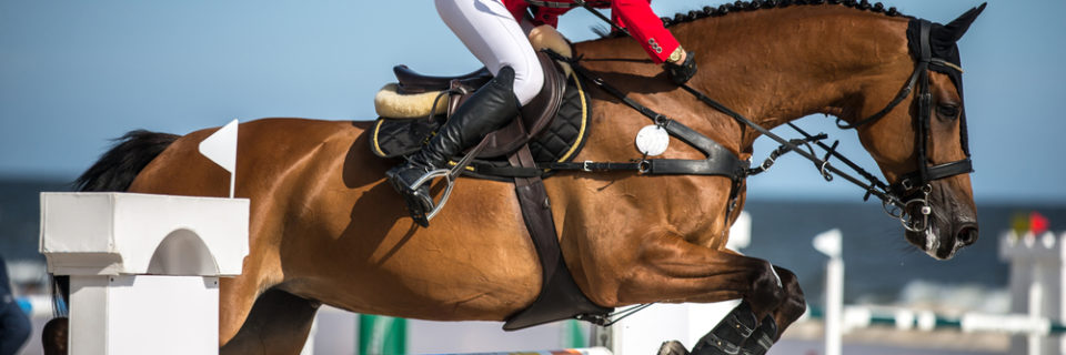 the paradox of success