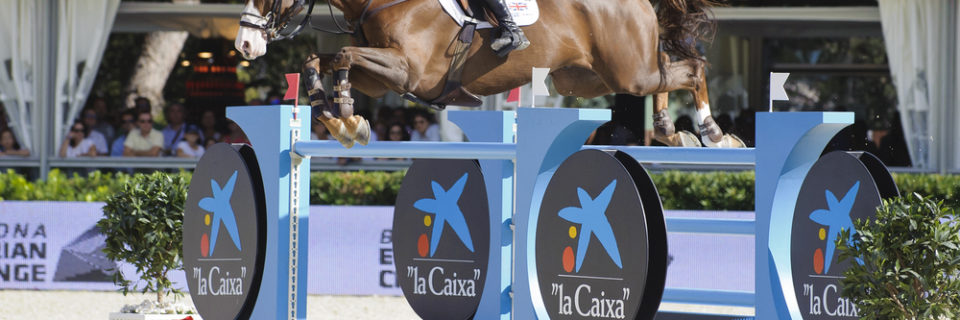 michael whitaker annette paterakis