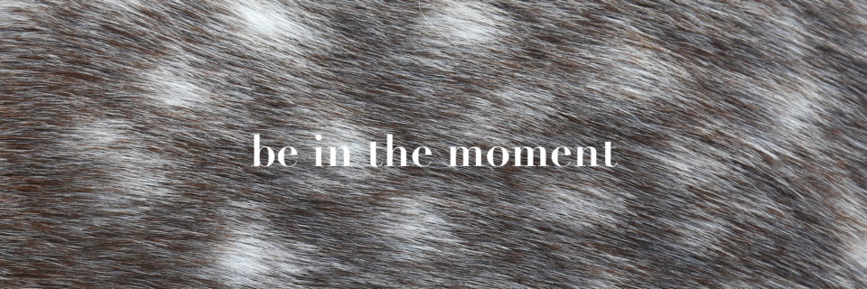 annetepaterakis quote be in the moment